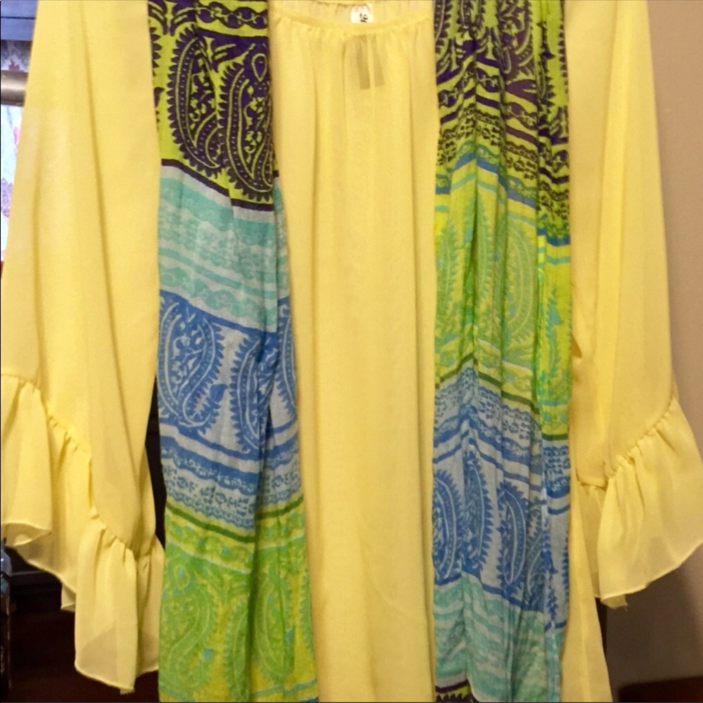 LAST DAY!!! SHEER BOUTIQUE TOP W/DRAPED SLEEVES!